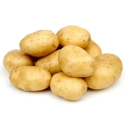 Potato